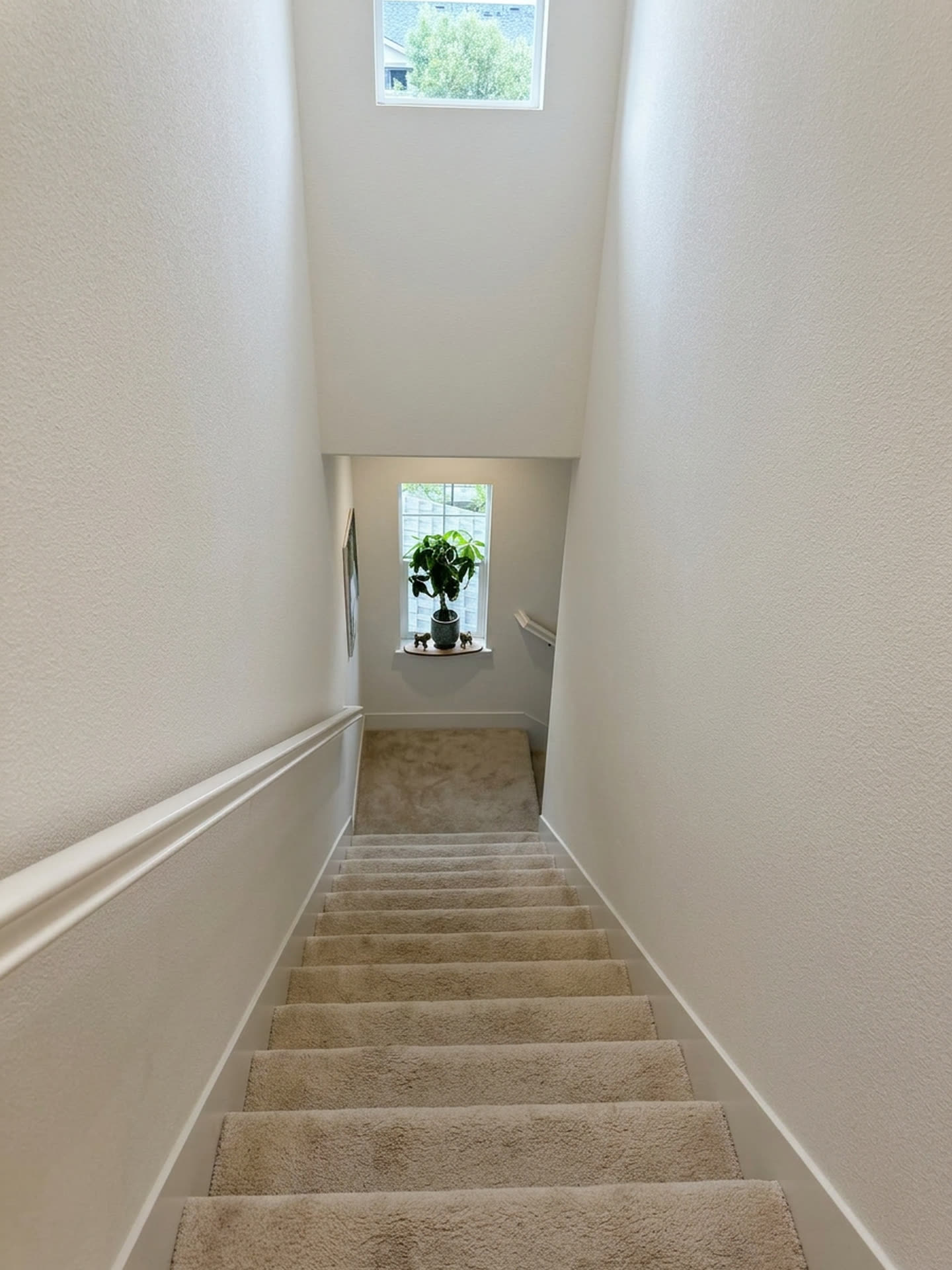 The stairwell, lit by a skylight above.
